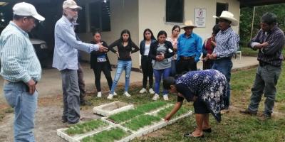 Comunidades reforestarán cuenca del río Pojom en Huehuetenango 1