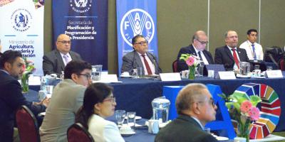 Reunión de trabajo entre SEGEPLAN, FAO y MAGA.