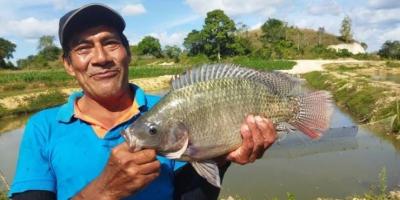 Impulsan crecimiento de la acuicultura en Petén
