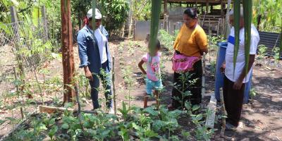 Más familias elaboran huertos familiares en Poptún