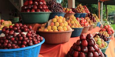 Producción de frutas en el país impulsa la generación de empleo y beneficios para la salud
