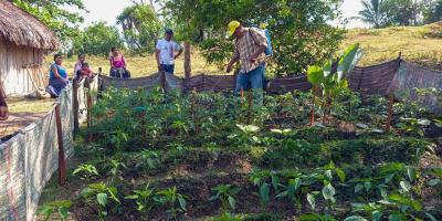 Productores peteneros aprenden la fertilización foliar y el control de plagas