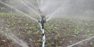 Conoce las ventajas de los diferentes tipos de riego en la agricultura