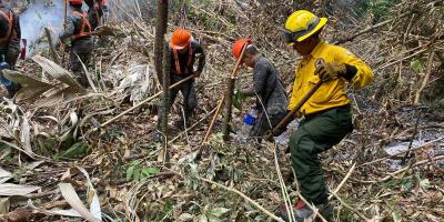 Combatientes de incendios forestales, guardianes de la biodiversidad