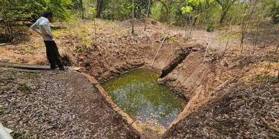 Cultivo de caracol de agua dulce una oportunidad de desarrollo económico para las comunidades
