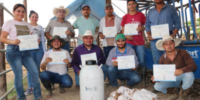 Formación sobre reproducción bovina optimiza capacidades de producción en Petén