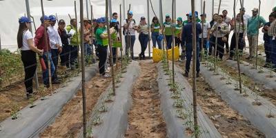 Innovación hortícola llega a Estanzuela, Zacapa
