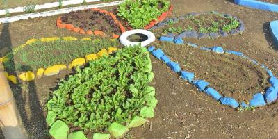 Los Huertos Escolares claves para la agricultura familiar