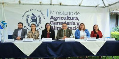 Presentan lineamientos estratégicos (2024-2028) “Una nueva siembra para el agro de Guatemala”