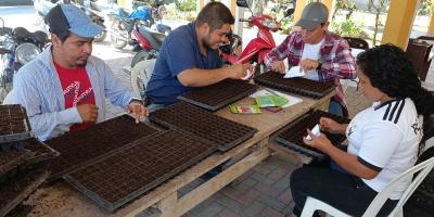 Producción de pilones y diversificación de cultivos contribuyen al desarrollo en Petén