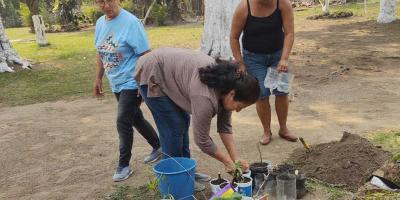 Producción de hortalizas beneficia a familias de San Miguel Petapa
