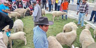 Totonicapán celebra el festival del cordero