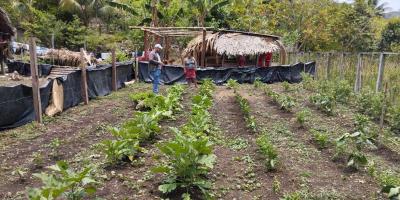 Verifican desarrollo de hortalizas en huertos familiares