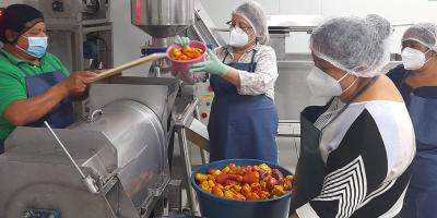 Jocote de marañón: base del emprendimiento para mujeres de San Juan Alotenango, Sacatepéquez
