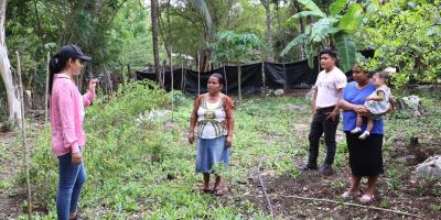 Huertos Familiares la ruta para alcanzar la autosuficiencia alimentaria