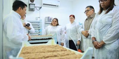 Trabajo conjunto para erradicar la mosca del Mediterráneo