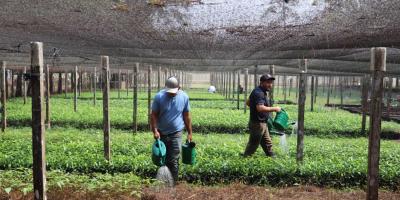 Impulsan gestión sostenible de los recursos naturales en Petén