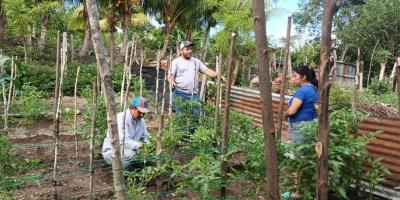 Continúa la entrega de pilones e instalación de parcelas demostrativas en Petén