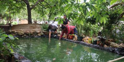 De una pila a ocho estanques de tilapia