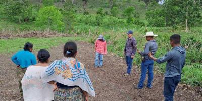 Desarrollan parcela demostrativa en San Luis