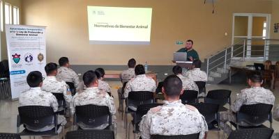 Fortalecen competencias para la protección del bienestar animal