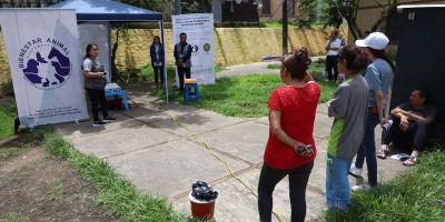 Jornada de vacunación a felinos en zona 21 capitalina