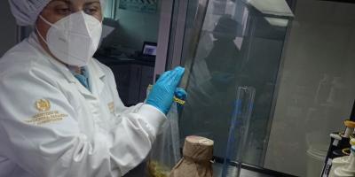 Laboratorio de Inocuidad garantiza calidad de los alimentos