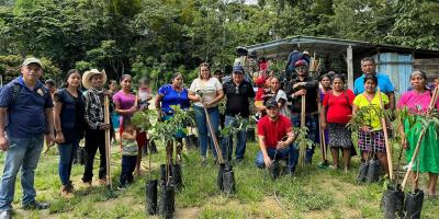 Reciben semillas de hortalizas, arboles de aguacate Hass y herramientas de cuidados agrícolas