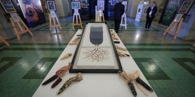 Día Nacional del Maíz