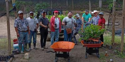 Área de nacimiento de agua reforestada con plantas de caoba