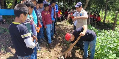 Cosecha de papa contribuye con la seguridad alimentaria
