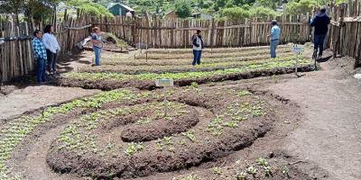 Estudiantes y docentes de Chiantla fortalecen conocimientos en agricultura sostenible