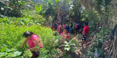Huertos comunales favorecen a 49 familias