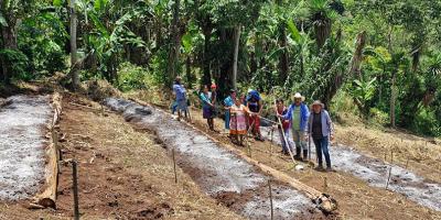 Preparan terrenos para establecer huertos comunales en Olopa