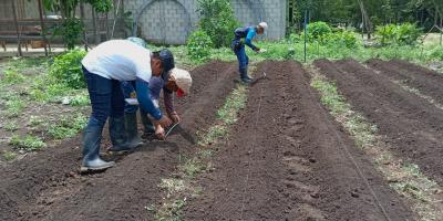 Promueven cultivo de hortalizas en Sayaxché