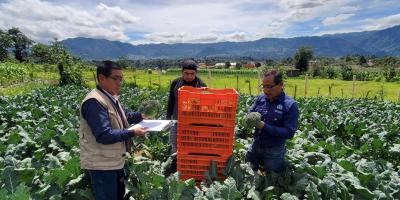 Realizan monitoreo de precios de productos en San Marcos
