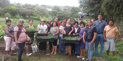 Se brinda seguimiento y asistencia técnica a huertos familiares de Villa Nueva
