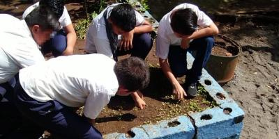 Verifican áreas para implementar huertos escolares en Santa Rosa