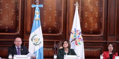 Vicepresidenta Karin Herrera