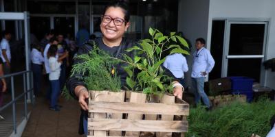 Por segundo año consecutivo el INDE regalará miles de plantas para contribuir a reforestar el país.