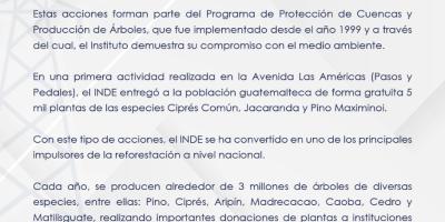 Comunicado oficial INDE entrega de 5 mil árboles