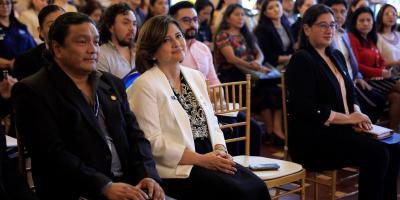 Vicepresidenta Karin Herrera