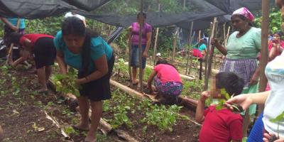 Familias de Chiquimula se benefician con pilones para sus huertos