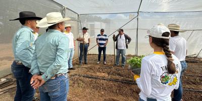 Implementan Huerto Escolar en Zacapa