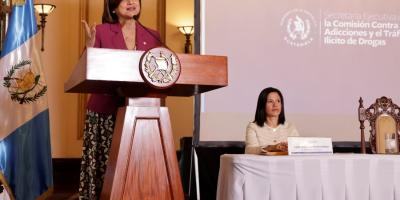 Karin Herrera, Presidenta en funciones