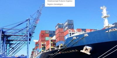 Se agiliza trámite de solicitud de Permiso de Desalmacenaje