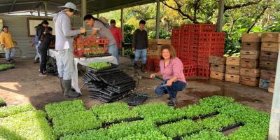 Se entregan pilones de hortalizas para implementar huertos escolares