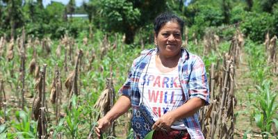 Seguro Agropecuario respalda a 70 mil pequeños productores