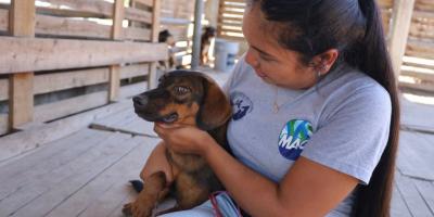 Su bienestar, nuestra prioridad: Conozca las funciones principales de la Unidad de Bienestar Animal