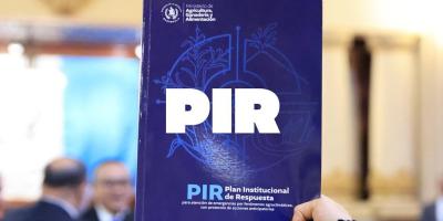 El Plan Institucional de Respuesta